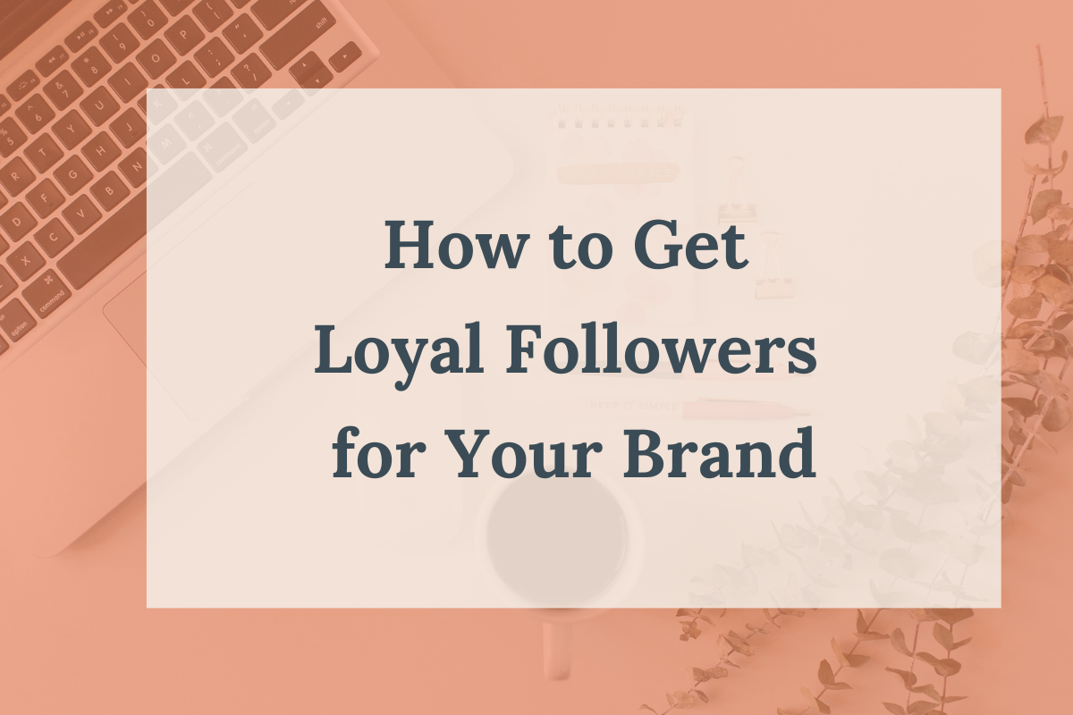 How to Get Loyal Followers for Your Brand_Blog thumbnail
