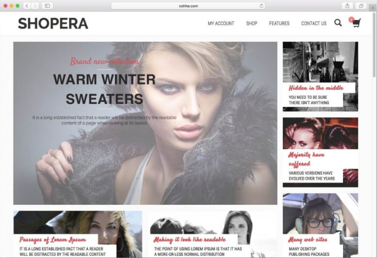 Shopera WordPress Theme